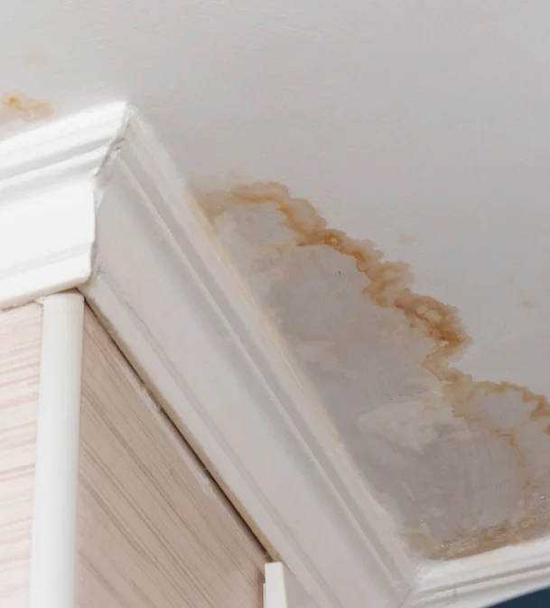 water damage on white ceiling of house
